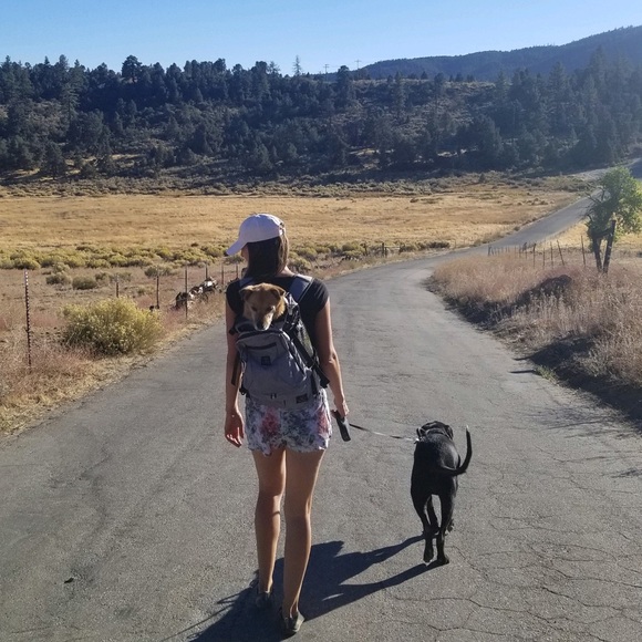 Meet your Posher, Holly - Picture 2 of 14